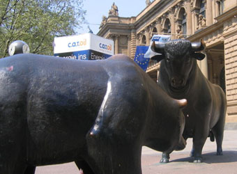 Bull, Bear